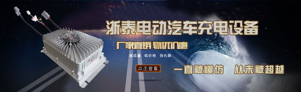 充電器-浙泰機電